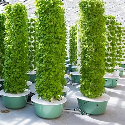 Hydroponic System - Аэропонные башенные системы для садоводства с