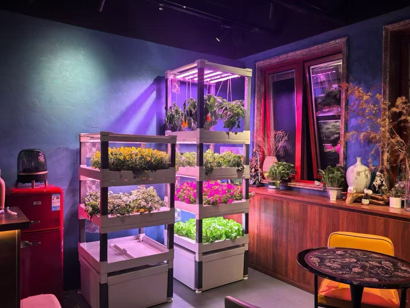 Новая автоматическая вертикаль – обзор и цена Hydroponic System