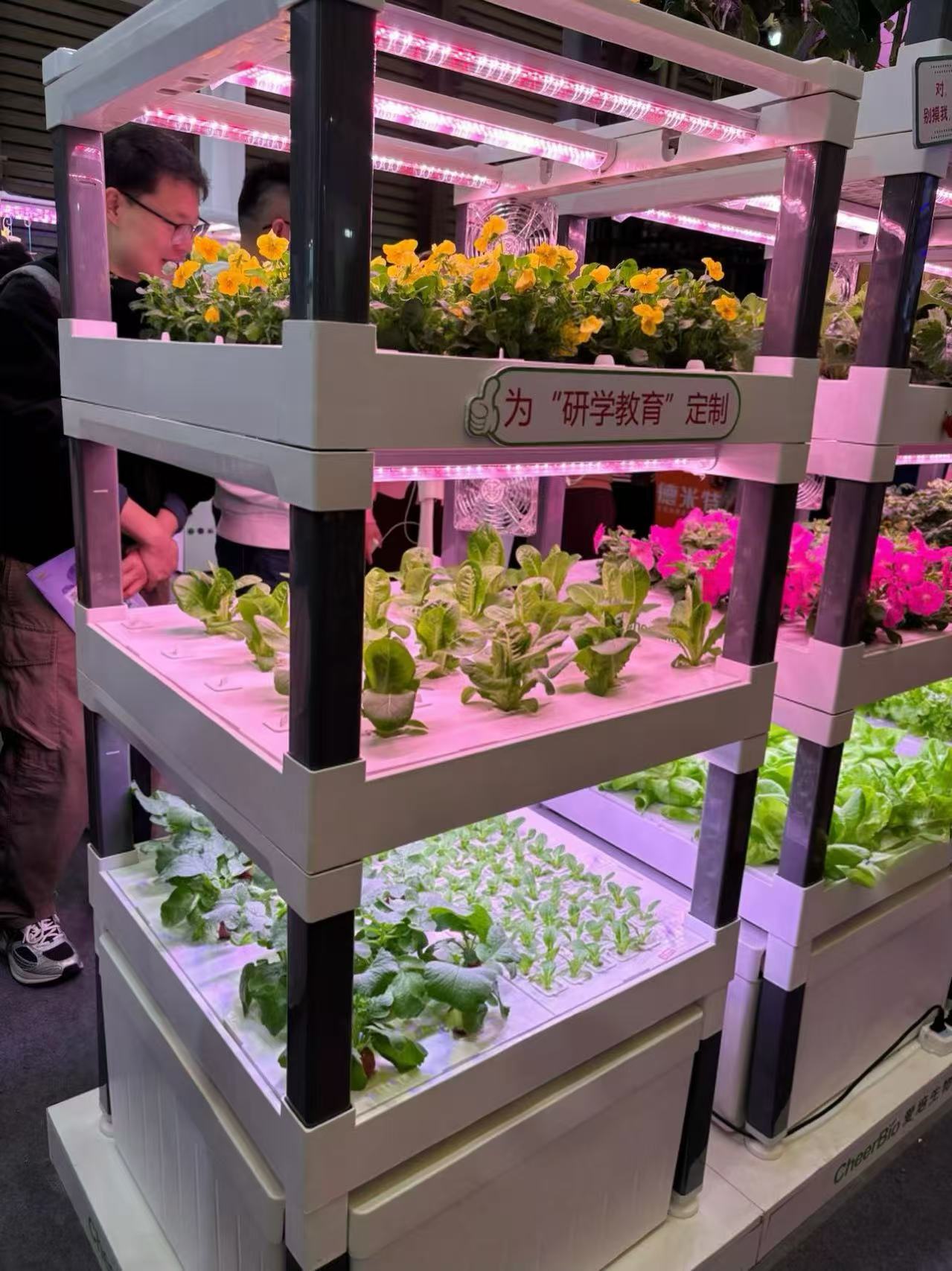 Новая автоматическая вертикаль – обзор и цена Hydroponic System
