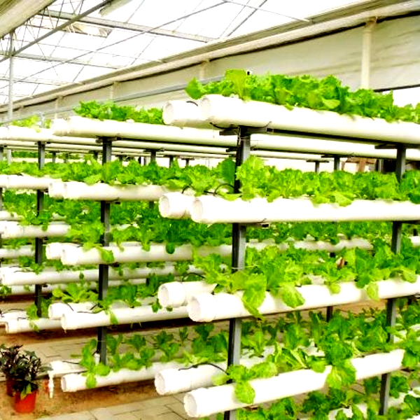 Уличные гидропонные башенные с – обзор и цена Hydroponic System