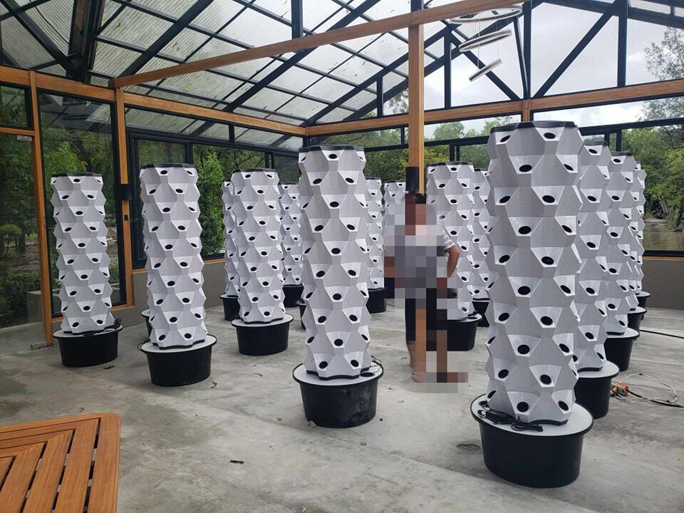 Вертикальная гидропонная систе – обзор и цена Hydroponic System