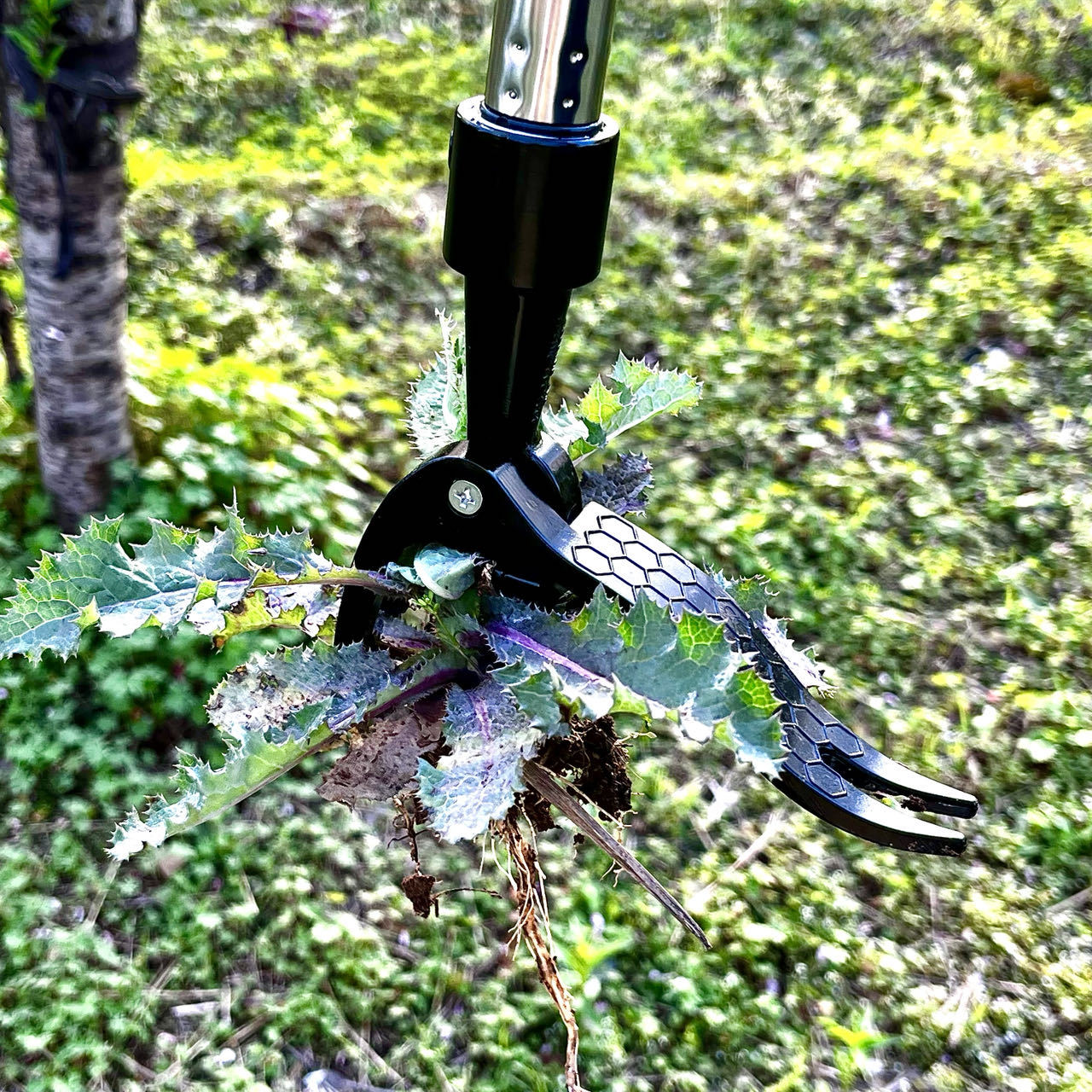Ручной металлический экстракто – обзор и цена Gardening Tools Needed