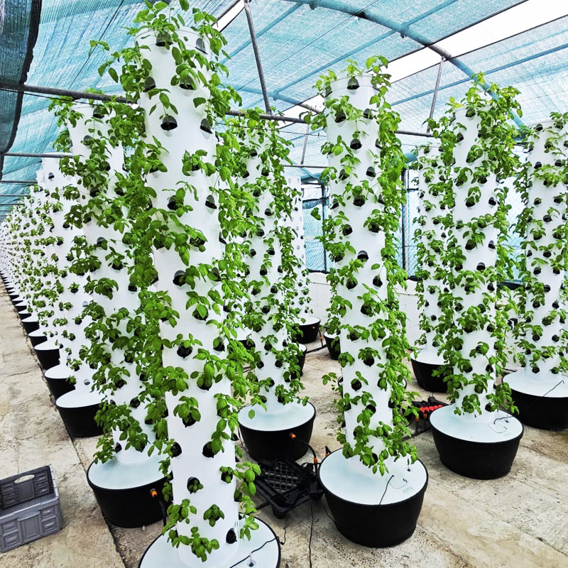 Высококачественная, простая в  – обзор и цена Hydroponic System