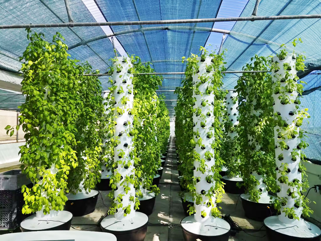 Высококачественная, простая в  – обзор и цена Hydroponic System
