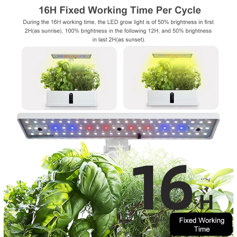 9-секционная умная гидропонная – обзор и цена Hydroponic System