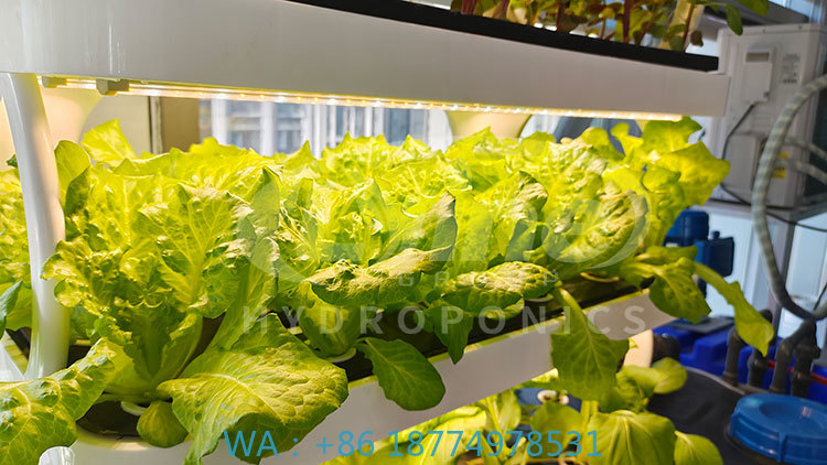 c Сельскохозяйственная машина  – обзор и цена Hydroponic System
