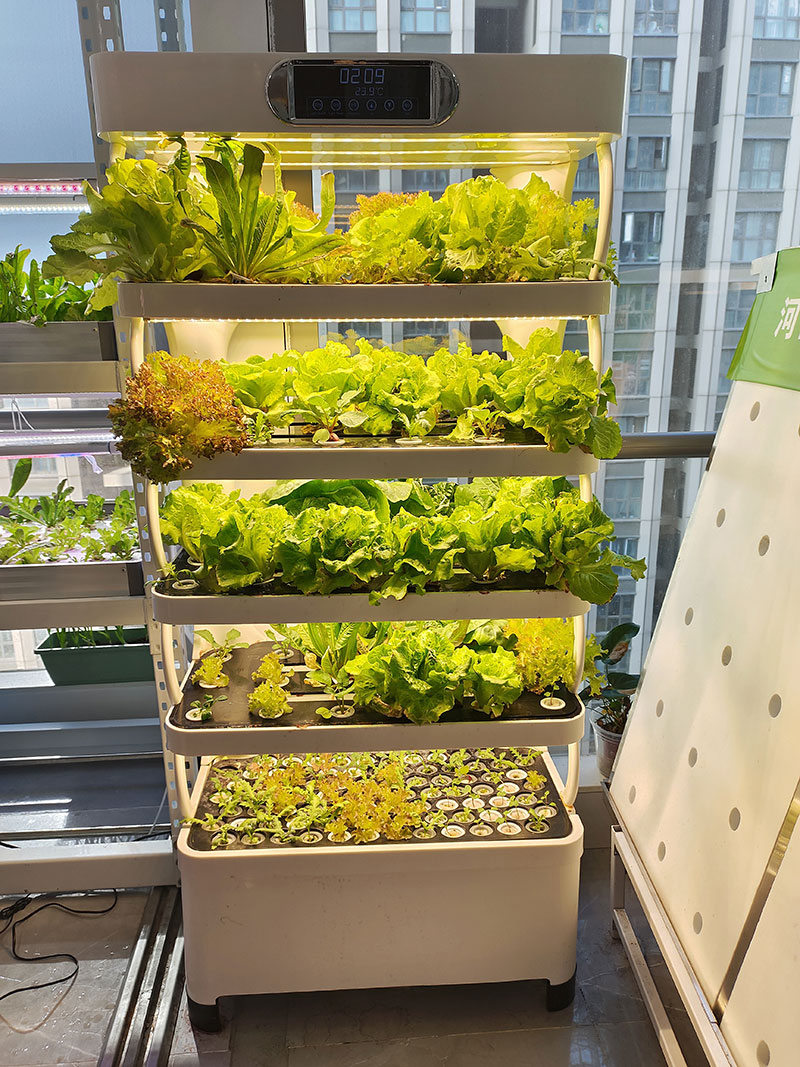 c Сельскохозяйственная машина  – обзор и цена Hydroponic System
