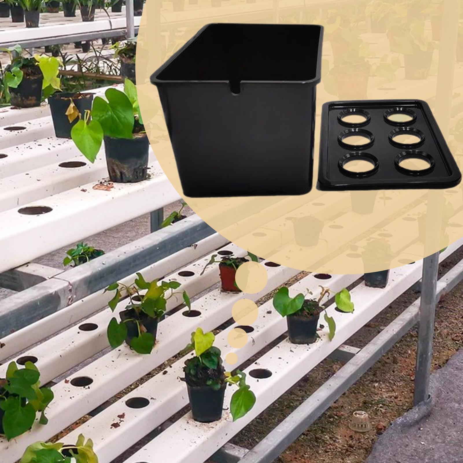 Гидропонный комплект для посад – обзор и цена Hydroponic System