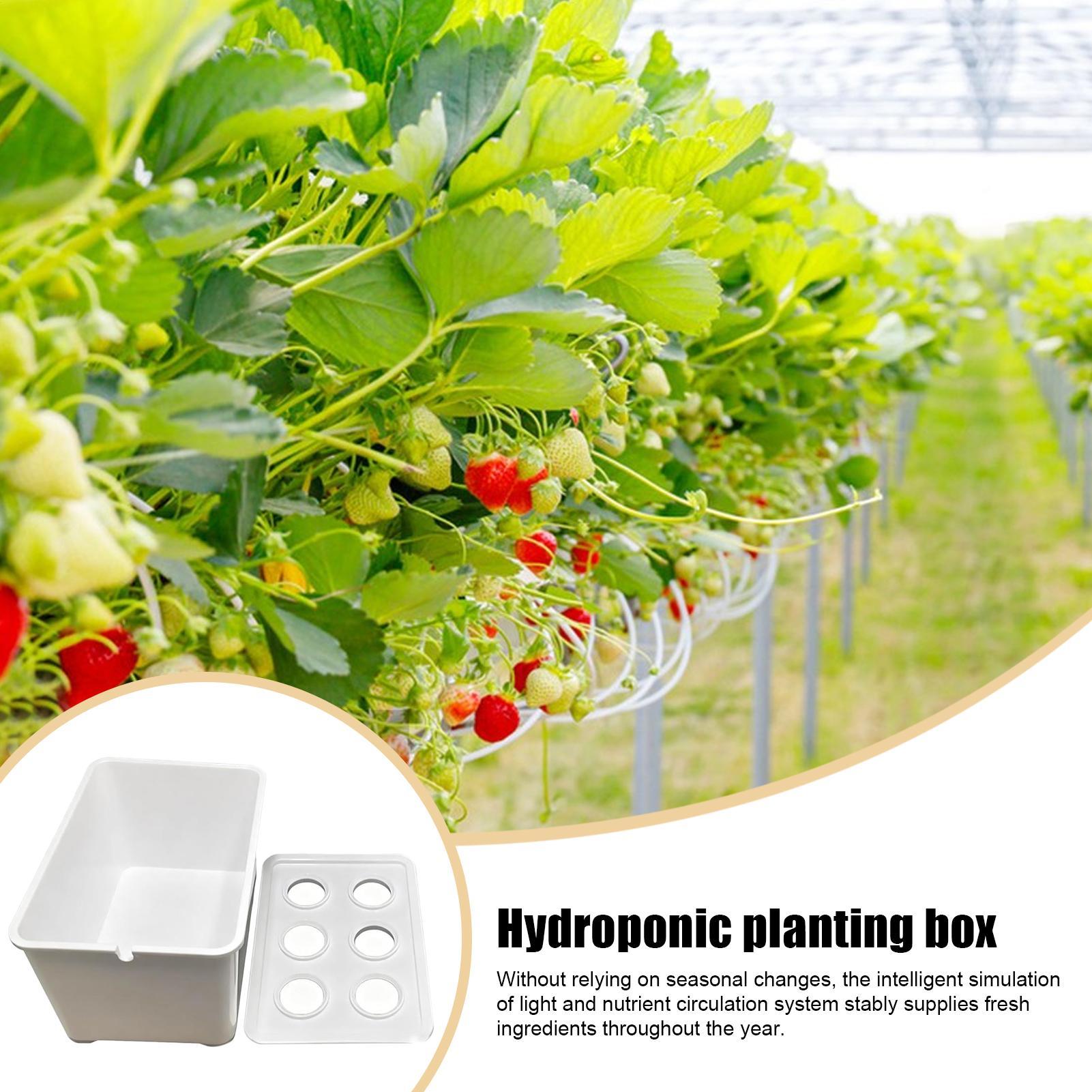 Гидропонный комплект для посад – обзор и цена Hydroponic System