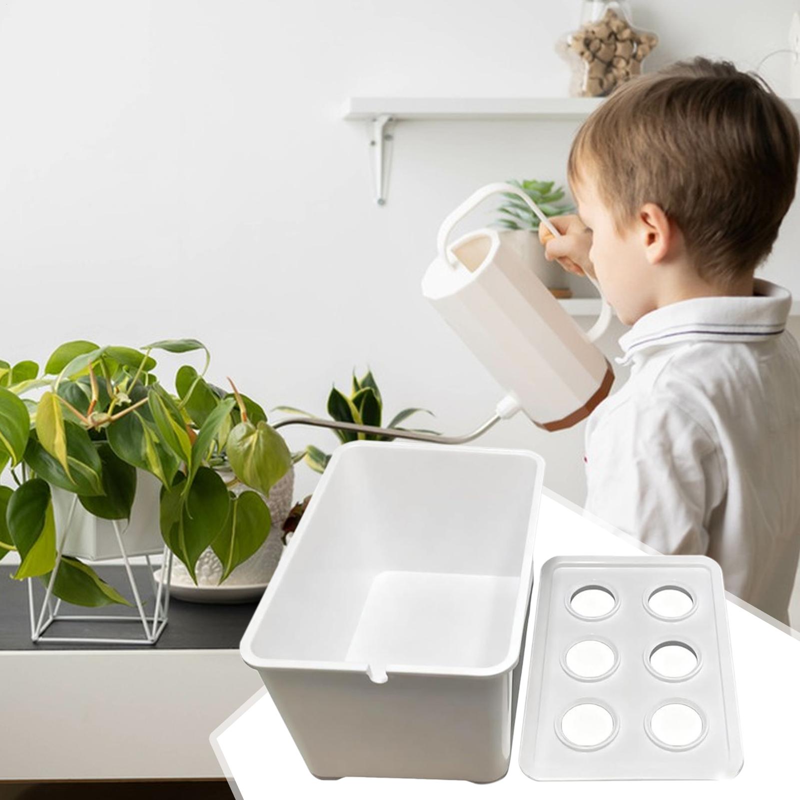 Гидропонный комплект для посад – обзор и цена Hydroponic System