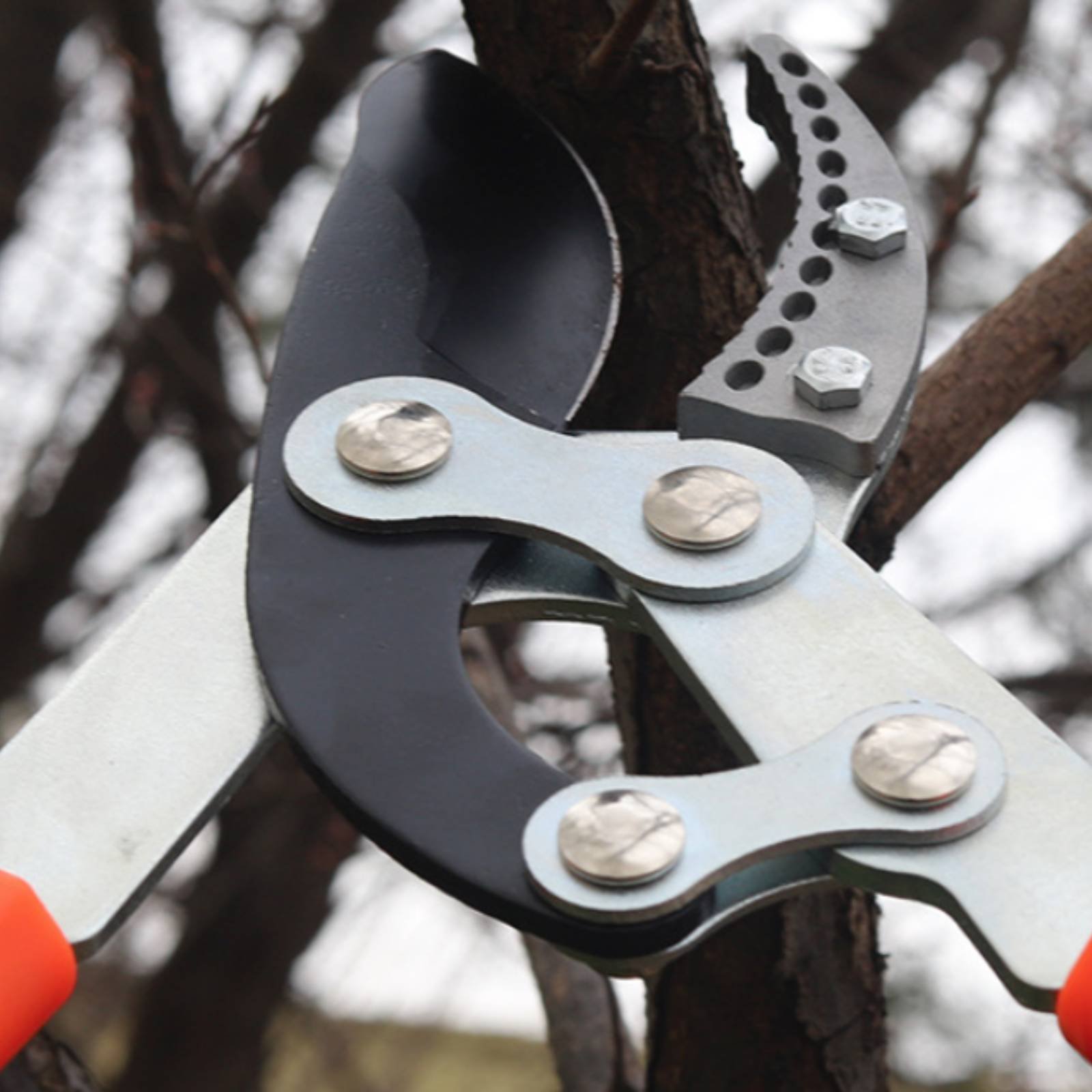 Телескопические секаторы для в – обзор и цена Gardening Tool